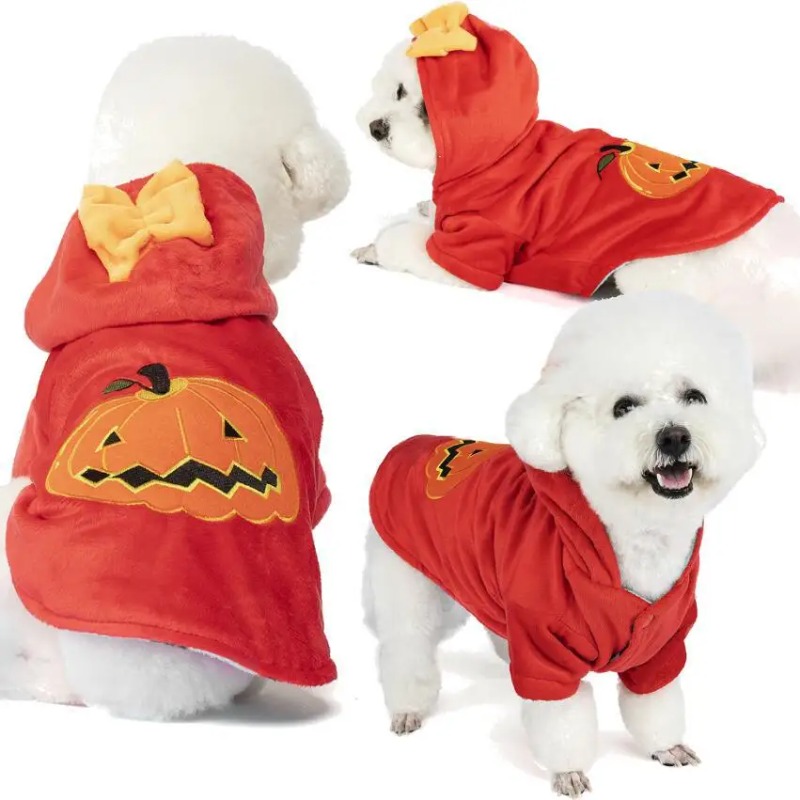 Winter Clothing Photo - Roupa nova para animais de estimação,