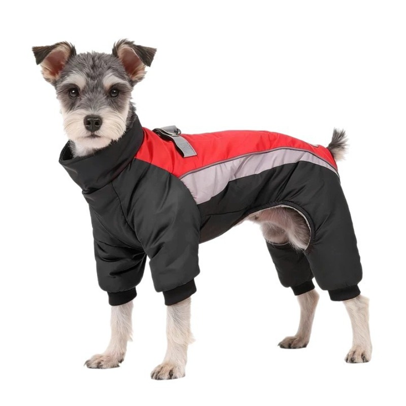 Winter Clothing Leg Warmers - Outono e inverno veludo cão mais