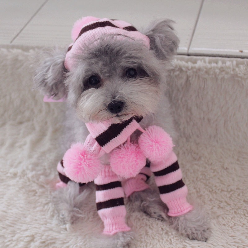 Conjunto de inverno para cacho - Winter Clothing Leg Warmers avaliação e preço