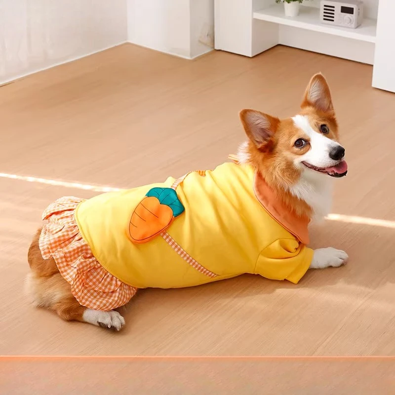 Roupas para cães - Aquecedores - Winter Clothing Leg Warmers avaliação e preço