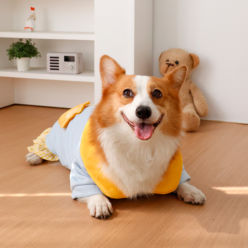 Roupas para cães - Aquecedores - Winter Clothing Leg Warmers avaliação e preço