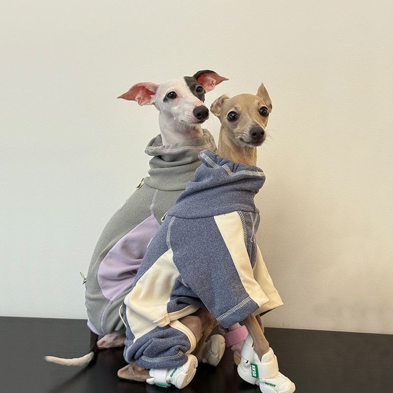 Roupas para cães de outono e i - Winter Clothing Leg Warmers avaliação e preço