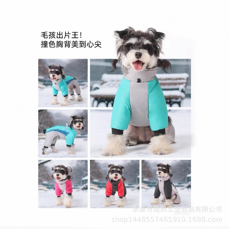 Outono e inverno veludo cão ma - Winter Clothing Leg Warmers avaliação e preço